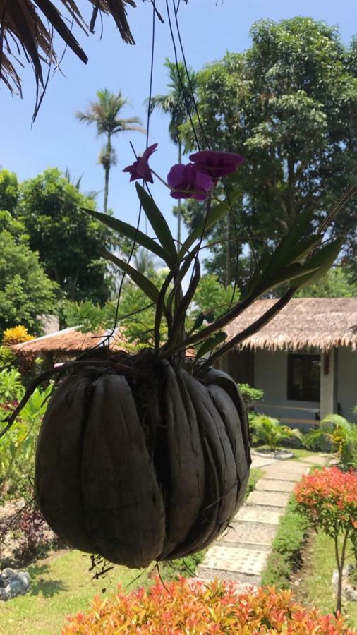 Villa Paradise 武吉拉旺 外观 照片